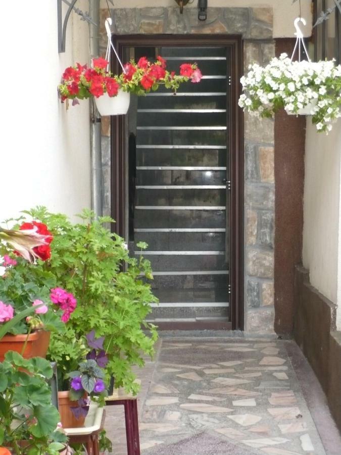 Casa Chiva Hotel Orşova Exterior foto